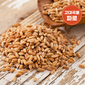 파로 곡물 파로밥 파로쌀 FARRO 엠머밀