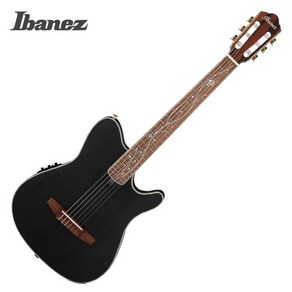 아이바네즈 클래식기타 Ibanez TOD10N TKF, 1개