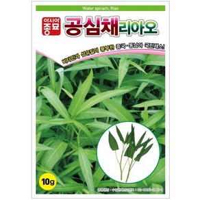 팜스마켓 켓 공심채 씨앗 10g 아열대 채소 종자, 1개