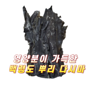 국물용 다시마 백령도 최상급 자연산 뿌리다시마 500g 1개