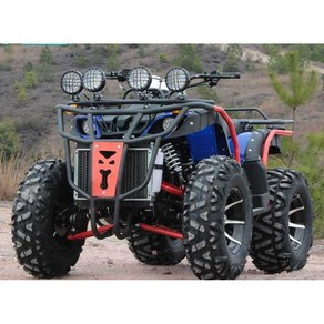 4WD ATV 풀타임 사륜오토바이 250CC 가솔린 바이크