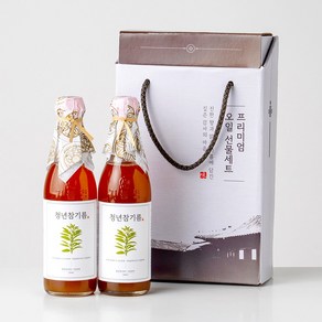 전라도청년 저온압착 청년참기름 350ml+청년참기름 350ml 명절선물세트, 2개, 350ml