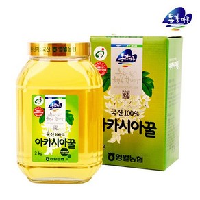 [영월농협] 동강마루 아카시아 벌꿀(2kg 병), 2kg, 1개