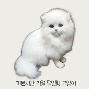 데코뎅코 페르시안 장모 흰색 고양이 리얼 털인형 애착 인형 고양이 인테리어 장식품