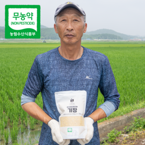 [햇곡/농부가 직접보냄 ] 국산 무농약 찰기장 1kg