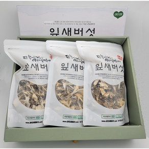 건조 잎새버섯 100g 200g {GAP인증 무농약 강원도양양특산물}, 1봉, 건조100g