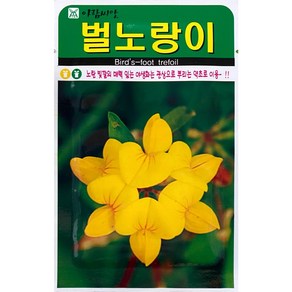 벌노랑이 꽃씨앗 1000립, 1개