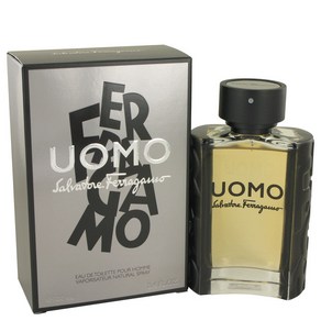 Salvatoe Feagamo Uomo EDT Spay 100ml Men, 1개