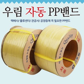 국산정품정량 대한자동밴딩끈(12mm)2개입, 엘로우, 2개