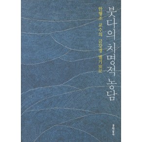 붓다의 치명적 농담:한형조 교수의 금강경 별기, 문학동네