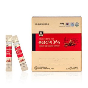 웰니스바이오 6년근 홍삼 진액 365 스틱 10g100포, 1개