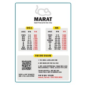 마우스 하퍼 8-11g / 화요일 주문 마감 수요일 발송 배송비 별도 결제 필수 / 마렛트 냉동쥐 뱀먹이 냉동마우스 파충류 용품