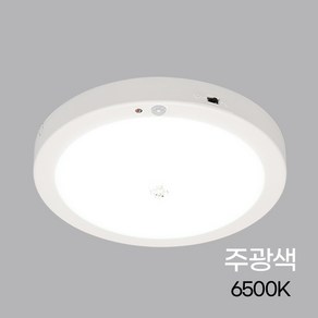 원형 LED 센서등 포인트 15W 주광