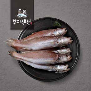 반건조 민어 조기 세트 반찬용 (부자생선)