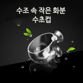 영아쿠아 유리 수초컵 모스 화분 글라스포트 피딩컵