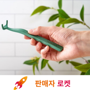 어금니까지 쏙쏙 칫솔형 치실 핸들 +리필20개 세트 (딥그린)