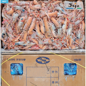 제주 딱새우 도매 1박스 16kg 5kg 10kg 한겨울수매 눈꽃 딱새우 딱새우본사 제주한림수산, 1개, 특대사이즈5kg