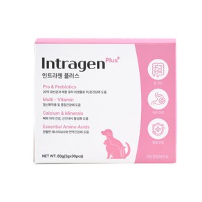 알켐바이오 인트라젠 플러스 분말 30포 강아지/고양이 유산균 영양제, 1개, 장건강/유산균, 30회분