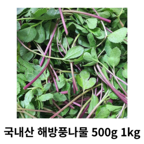 해방풀나물 해풍맞은 방풍나물 해방풍 갯방풍 500g 1kg 2kg 국내산 산지직송 봄나물 무침 붉은줄기 제철나물 방풍나물무침, 1박스