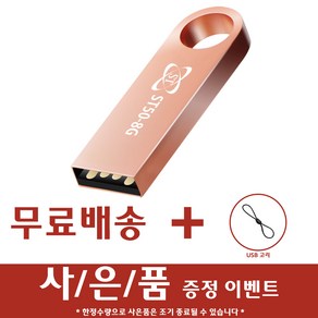 에스티원테크 ST50 USB메모리 로즈핑크, 8GB