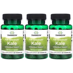 스완슨 케일 캐일 Kale 400mg 60베지캡슐 3병, 3개, 60정