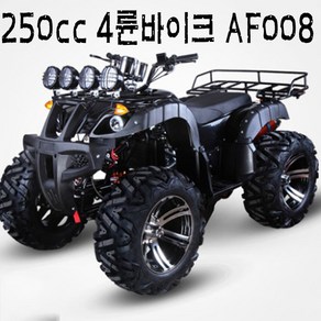 R-BON 4륜바이크 250cc AF008