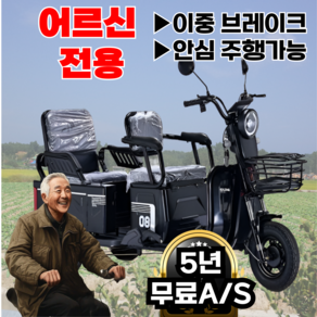 Ezybike 쉬운조작 세발전기자전거 어르신 전동 자토바이 출퇴근 스쿠터, 블랙, 스틸