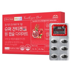 팔레오 닥터스노트 슈퍼잔티젠 원캡슐다이어트 650mg x 30캡슐 x 1개, 30정