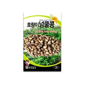 모칸도 세계종묘 호랭이넝쿨콩 30g, 1개