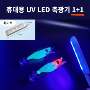 억피싱 UV 축광기 휴대용 에기 쭈꾸미 LED 축광기 1+1 C타입 전원, 1개