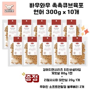 바우와우 촉촉큐브육포 세종류 묶음상품 강아지육포 고상한펫, 300g, 10개, 연어