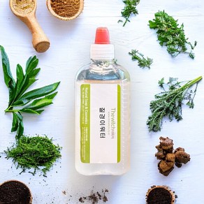 [더위치] 질경이워터 100ml 질경이잎수 Plantago Asiatica, 1개