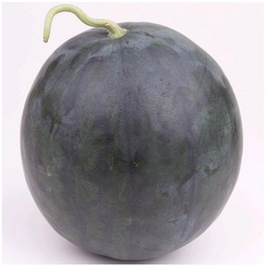 [허니스윗팜] 8kg 흑수박 봄수박 흑미 당도선별 수박 고당도수박 꿀수박 산지직송 스테비아 하우스 FRESH UP, 흑수박 1개( 8kg 이상 )