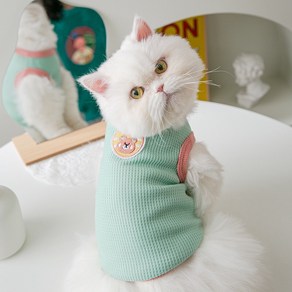 강아지 고양이 티셔츠 마카롱 골지 티셔츠 XS S M L XL 2XL