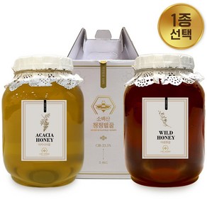 소백산청정농원 100%자연산 아카시아 꿀 2.4kg, 천연 야생화꿀, 1개