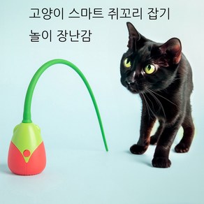 메호라 고양이 자동 회전 꼬리 잡기 놀이 장난간, 1개, 레드