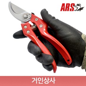 ARS 유러피안 전지가위 CB-8Z / 전정가위 가지치기가위 일제 아루스 과수 조경 정원, 1개