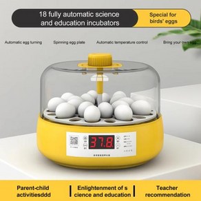 부화기 완전 자동 브로더 계란 인큐베이터 온도 조절 디스플레이 원형 미니 6, 2) fo 18 bid eggs, 1개