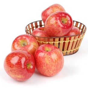 [GAP인증산지직송]NH 충주 못난이사과 5Kg (랜덤과), 1개