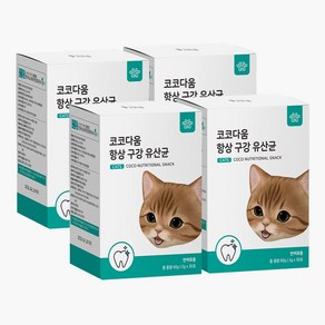 코코다움 고양이 구강케어 입냄새 잇몸 영양파우더 항상 구강 유산균, 4개, 구강/치석관리