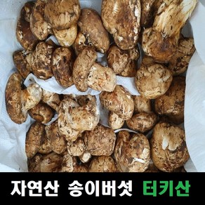 송이버섯 자연산 냉동송이버섯 터키산, 육수용+티베르산 냉동능이 B급, 각각 1kg 총 2kg, 1개