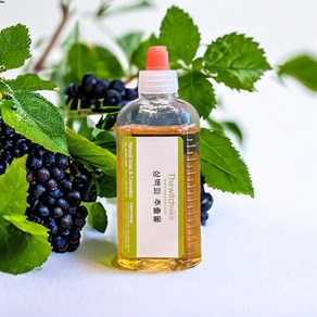 [더위치] 상백피추출물 100ml 뽕나무껍질추출물 Mous Alba Bak Extact, 1개