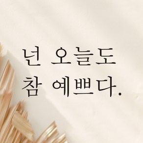 모노먼트 한글 감성 레터링 스티커 - 넌 오늘도 참 예쁘다, 연핑크