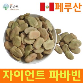 페루산 자이언트 파바빈 콩 300g 파바빈콩 파바빈 단백질, 1개