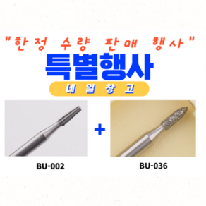 부쉬비트 케어비트BU-002굳은살제거용 BU-036멀티케어 네일케어비트 루즈스킨제거, 1개