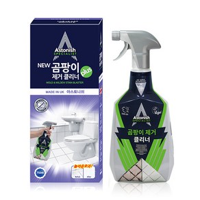 [본사정품]++아스토니쉬 곰팡이 제거제 화장실 벽지 베란다 욕실 실리콘 창틀, 1개, 750ml