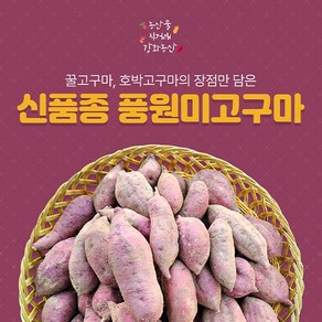 강화농산 맛좋은 속노란 강화 꿀고구마(햇) 5kg 10kg, 1박스