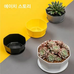 에이치 스토리 북유럽 다육 팔각 화분 (받침 포함/식물 미포함), 블랙, 1개