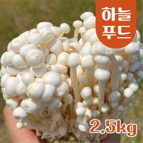 (2.5kg 5kg 내외) 팽이버섯 식자재, 2.5kg, 1개