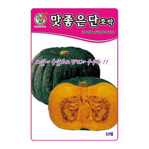 제일 맛좋은단호박 씨앗 10립, 1개